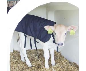 Gewa - Manta para terneros (70 cm, columna de agua de 6000 mm), color negro