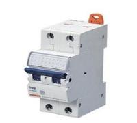 Gewiss MT 100 - Interruptor magnetico mt100 2 Polos d6 15ka 2 módulos
