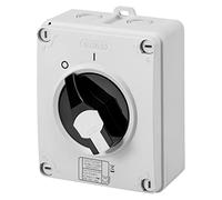 Gewiss Separador giratorio, Hp, mando a distancia, caja de material aislante, 16 A 2P, tirador negro candado, IP66/67/69