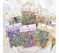 Gfamous 240 Piezas Pegatinas de Plantas y Flores,6 estilos,Hojas Pegatinas Scrapbooking,Pegatinas Flores Para Scrapbooking,Pegatinas Bullet Journal stickers Scrapbooking,stickers plantas