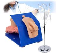 GFLCWYP Modelo de práctica del catéter Modelo anatomía para catéter cateterización urinaria genital con bolsa almacenamiento Adecuado para entrenamiento operación intubación simulada,Male
