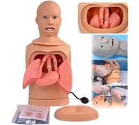 GFLCWYP Modelo de tubo gástrico intubación Maniquí entrenamiento multifuncional Modelo cuidado avanzado nasogastrístico y tráquea Lavaje gástrico traqueostomía para enfermeras estudiantes medicina