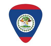 GGNKDL Púa de guitarra con estampado de bandera de Belice, 12 piezas con tres combinaciones de púas de grosor adecuadas para bajo y ukelele