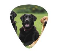 GGNKDL Púa de guitarra Labrador Retriever Dogs Prints 12 piezas con tres combinaciones de púas de grosor adecuadas para bajo y ukelele