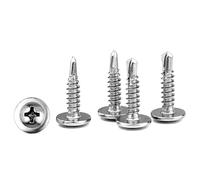 GGXZHT Juego de 110 Tornillos Roscachapas, Tornillos Autotaladrantes, Tornillos Autorroscantes Para Chapa Autotaladrante Antióxido M4.2 x 19 mm