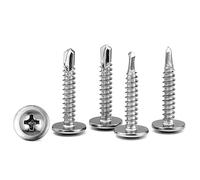 GGXZHT Juego de 110 Tornillos Roscachapas, Tornillos Autotaladrantes, Tornillos Autorroscantes Para Chapa Autotaladrante Antióxido M4.2 x 25 mm