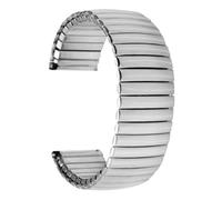 GGYTMQL Banda de elástica de reloj de acero inoxidable para una banda de reloj clásica de 18 mm de 20 mm accesorio de correa