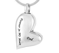 GGYTMQL Collar Colgante Memorial conmemorativo Urna Collar Kit de llenado para la cremación de la urna Collar Colgante Souvenirs