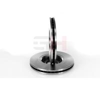 GH 2x Disco de Freno Eje Delant. para Citroën C5 i Dc _ 2.0 16V 1.8 _ 2.2 HDI Re