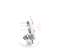 GH 2x Disco de Freno Eje para Fiat 500 312_ 1.2 0.9 Panda 312 188_ 1.9 DS