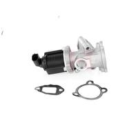 GH AGR-VENTIL Compatible Para Ford KA RU8 1.3 TDCi Fiat 500 312_ 169