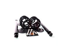 GH Conjunto de Chasis Muelles/Amortiguador Eje para VW Sharan 7M8 7M9 7M6 1.9