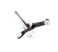 2x Mangueta Suspensión Delantero Derecho E Izquierdo para Isuzu D-Max 2001-2006