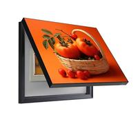 GHHQQZ Caja Medidor Eléctrico Oculta Cuadros Tapar Cuadro Electrico No Requiere Taladrar Electric Meter Box Cover Dormitorio Cuarto Baño(F,45x55cm)