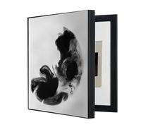 GHHQQZ Tapar Cuadro Electrico Electric Meter Box Cover Abierto Izquierda Pintura Cajas Distribución Eléctric Pasillo Salón(E,50x70cm)