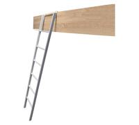 GHHVFEC Escalera de Cama, Compatible con literas, para litera Superior, con Ganchos Ajustables, Ideal para Dormitorio, Loft o casa (Color: Plateado, tamaño: 1,55 m/61 Pulgadas/5 pies)