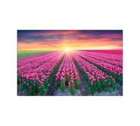 GHHZML Fondo De Pecera Póster Autoadhesivo con Efecto 3D de tulipán for Acuario, Papel Tapiz for pecera(50x80cm)