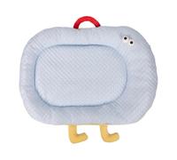 Ghjkldha Cat Mat, Sleeping Pad, Cooling Cushion, Ice Bean Fabric, PP Cotton Fill, 23.62x17.72 Inches, Raised Edge Design, Non-Slip Base, for Floor Crate Use, Indoor Pet Comfort, Car Seat