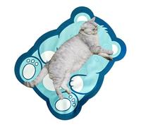 Ghjkldha Water Filling Cooling Mat, Dog Sleeping Rug, 30x38x2cm Scratch