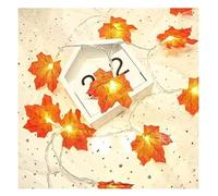 GHJrtHFJ luces decorativas, Guirnalda de luces LED for decoración Acción Gracias | Luces colores cálidos for otoño | Decoración perfecta for el hogar(Battery Power,9.8ft(20led))