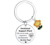 Ghloyza Regalos inspiradores para mujeres y hombres, bonitos regalos de plantas para mujeres, amigos, regalos de aliento, regalos de Navidad, regalos de cumpleaños para mamá, hija, compañeros de