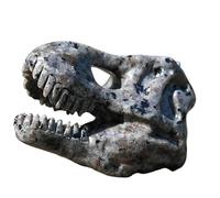 GHNQBAHID 1pc Skull Dinosaur Bohemian Style Stone Desktop Decoration Gemstone Stone