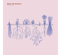 Ghost Funk Orchestra - A New Kind Of Love