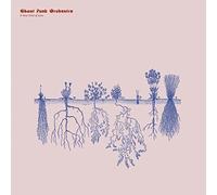 Ghost Funk Orchestra - A New Kind Of Love