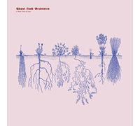 Ghost Funk Orchestra - A New Kind of Love [Vinilo]