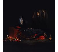 Ghostpoet - I Grow Tired But Dare Not Fall [Vinilo]