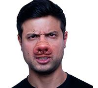 Ghoulish Productions - Aplicación de Nariz de Cerdo, Línea Appliances, Decorativo de Látex resistente, pintada a mano, Halloween, Desfile de Carnaval, Fiesta de Disfraces.