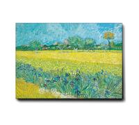 Giallobus - Cuadro - Vincent Van Gogh - Campo con lirios cerca de Arles - Lona Telar Premium Alto Espesor - 70L x 50l cm - Listo para colgar - Cuadros modernos para el hogar
