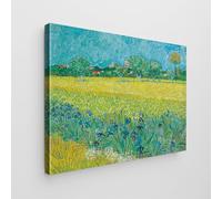 Giallobus - Cuadro - Vincent Van Gogh - - Lienzo estándar - 140x100-13 - Campo con lirios cerca de Arles - Listo para colgar - Cuadros modernos para el hogar