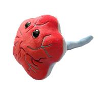GIANT MICROBES Peluche de placenta, divertido regalo de obstetricia y ginecología, regalos de enfermera LPN, regalos de embarazo, regalo para nueva mamá, placenta de peluche, modelo de anatomía