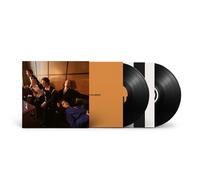 Giant Rooks How Have You Been? (Vinyl) 12" Album (Limited Edition)