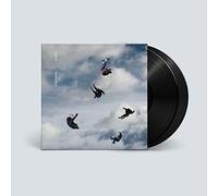 Giant Rooks - ROOKERY [Vinilo]