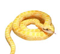 Giant Snake Plush - Plush Boa Constrictor Realista, Serpent 110 cm | Almohada para Halloween, Juguete de Serpiente para niños, Regalos Originales de Fiesta, decoración de Halloween