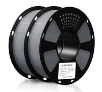 GIANTARM PETG 1,75mm Filamento para impresora 3D 2x1KG Carrete, Gris