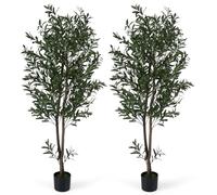GIANTEX Juego de 1/2 Árboles Artificiales de Olivo, Planta Artificial 180 cm con Hojas, Frutos y Musgo Realistas, Tronco de PE, Árbol Decorativo para Entrada, Salón, Oficina (2)
