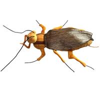 GIANTmicrobios - Peluche de cucaracha - Aprende sobre este rastreador común con este peluche de peluche, regalo único para amigos, familiares, educadores, estudiantes y fanáticos de insectos