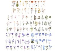 Giantree 200 calcomanías con temática de flores prensadas, calcomanías vintage secas florales botánicas para diario, calcomanías transparentes de flores para adultos, suministros de álbumes de