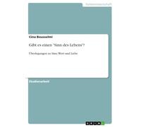 Gibt es einen "Sinn des Lebens"?: Überlegungen zu Sinn, Wert und Liebe