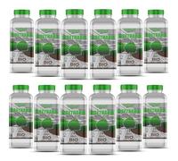 GiDeli Bioetanol 12 x 1 l Bosque Fragancia 96,6% etanol para interior y exterior, sin humo ni hollín, de maíz y remolacha azucarera