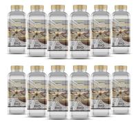 GiDeli Bioetanol 12 x 1 l de aroma de vainilla 96,6% etanol para chimeneas interiores y exteriores, sin humo ni hollín, de maíz y remolacha azucarera
