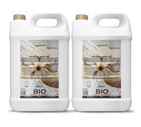 GiDeli Bioetanol 2 x 5 l de aroma a vainilla 96,6% etanol para chimeneas interiores y exteriores, sin humo ni hollín, de maíz y remolacha azucarera