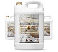 GiDeli Bioetanol 3 x 5 l de aroma a vainilla 96,6% etanol para chimeneas interiores y exteriores, sin humo ni hollín, de maíz y remolacha azucarera