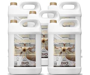 GiDeli Bioetanol 5 x 5 l de aroma de vainilla 96,6% etanol para chimeneas interiores y exteriores, sin humo ni hollín, de maíz y remolacha azucarera
