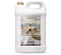 GiDeli Bioetanol 5L Vainilla Fragancia 96,6% etanol para interiores y exteriores chimeneas sin humo ni hollín - de maíz y remolacha azucarera