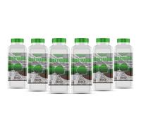 GiDeli Bioetanol 6 x 1 l Bosque Fragancia 96,6% de etanol para interior y exterior, sin humo ni hollín, de maíz y remolacha azucarera