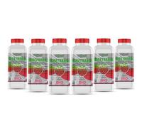 GiDeli Bioetanol 6 x 1 l de aroma a fresa silvestre 96,6% etanol para chimeneas interiores y exteriores, sin humo ni hollín, de maíz y remolacha azucarera